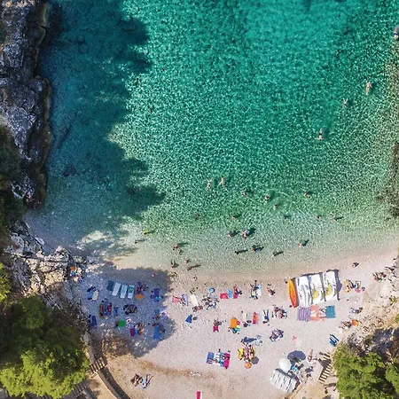 Cozy In With Wifi Διαμέρισμα